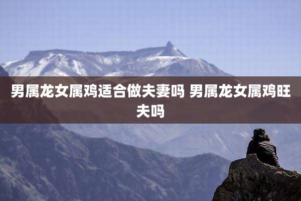 男属龙女属鸡适合做夫妻吗 男属龙女属鸡旺夫吗