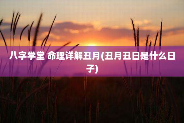 八字学堂 命理详解丑月(丑月丑日是什么日子)