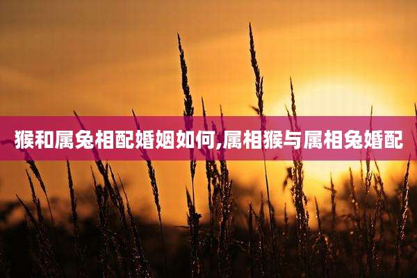 猴和属兔相配婚姻如何,属相猴与属相兔婚配
