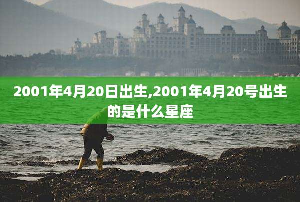 2001年4月20日出生,2001年4月20号出生的是什么星座