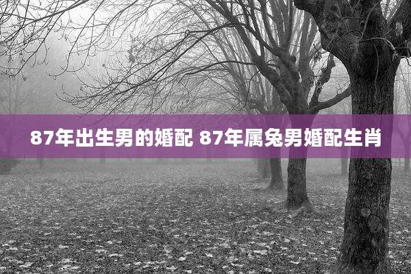 87年出生男的婚配 87年属兔男婚配生肖