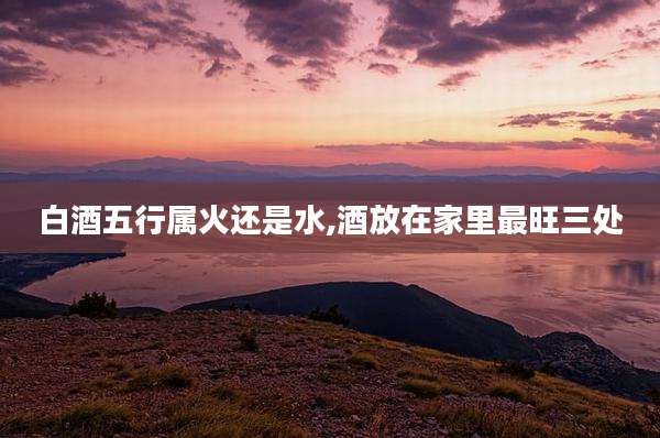 白酒五行属火还是水,酒放在家里最旺三处