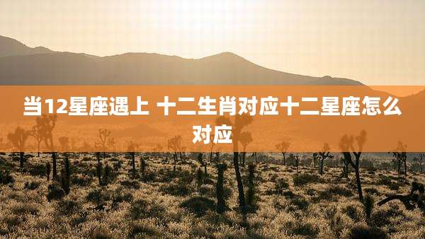当12星座遇上 十二生肖对应十二星座怎么对应