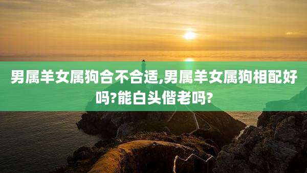 男属羊女属狗合不合适,男属羊女属狗相配好吗?能白头偕老吗?