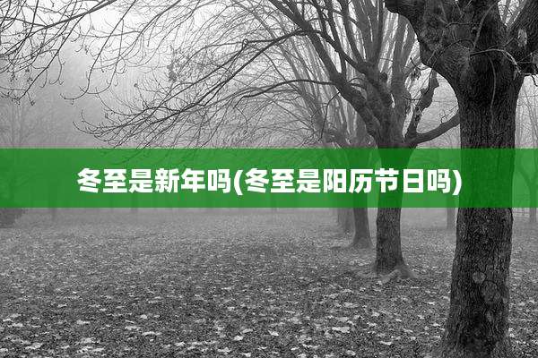 冬至是新年吗(冬至是阳历节日吗)