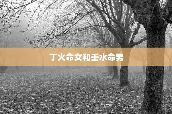 丁火命女和壬水命男