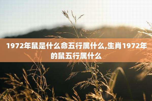 1972年鼠是什么命五行属什么,生肖1972年的鼠五行属什么