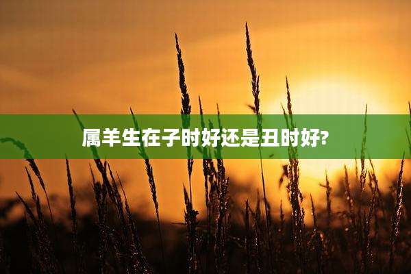 属羊生在子时好还是丑时好?