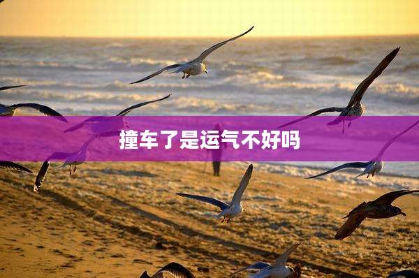 撞车了是运气不好吗