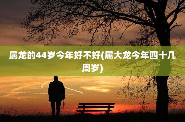 属龙的44岁今年好不好(属大龙今年四十几周岁)