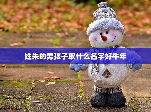 姓朱的男孩子取什么名字好牛年