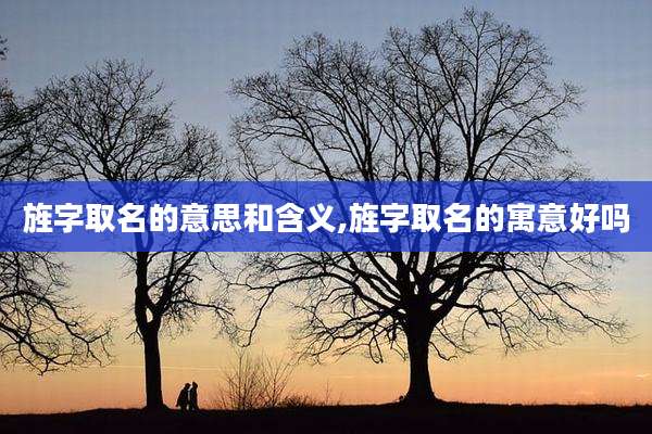旌字取名的意思和含义,旌字取名的寓意好吗