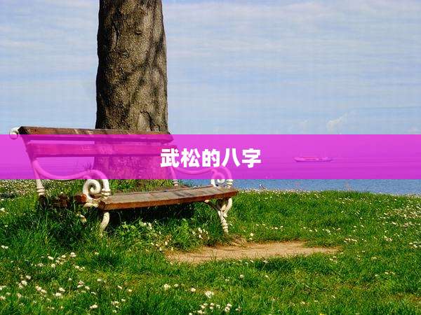 武松的八字