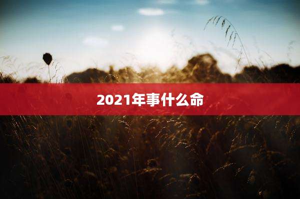 2021年事什么命