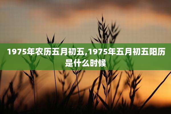 1975年农历五月初五,1975年五月初五阳历是什么时候