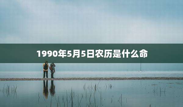 1990年5月5日农历是什么命