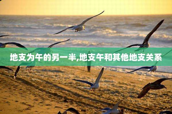 地支为午的另一半,地支午和其他地支关系