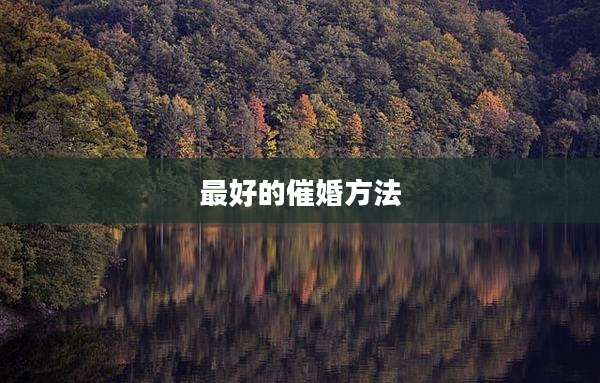 最好的催婚方法