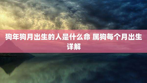 狗年狗月出生的人是什么命 属狗每个月出生详解