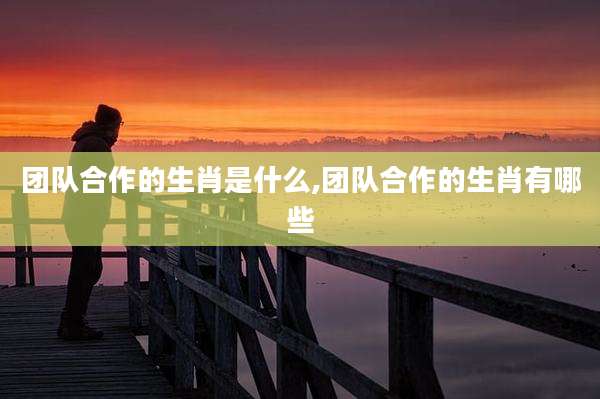 团队合作的生肖是什么,团队合作的生肖有哪些