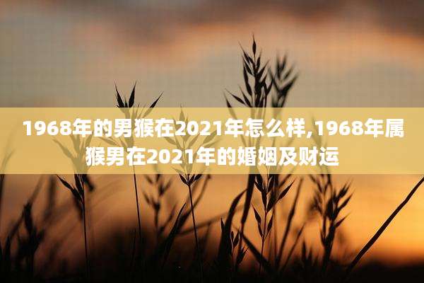 1968年的男猴在2021年怎么样,1968年属猴男在2021年的婚姻及财运