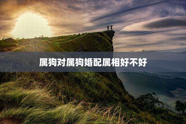 属狗对属狗婚配属相好不好
