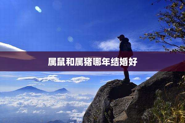 属鼠和属猪哪年结婚好