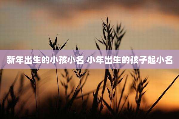 新年出生的小孩小名 小年出生的孩子起小名