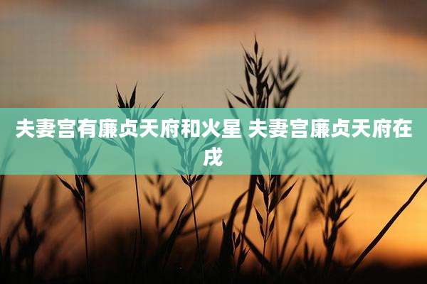 夫妻宫有廉贞天府和火星 夫妻宫廉贞天府在戌