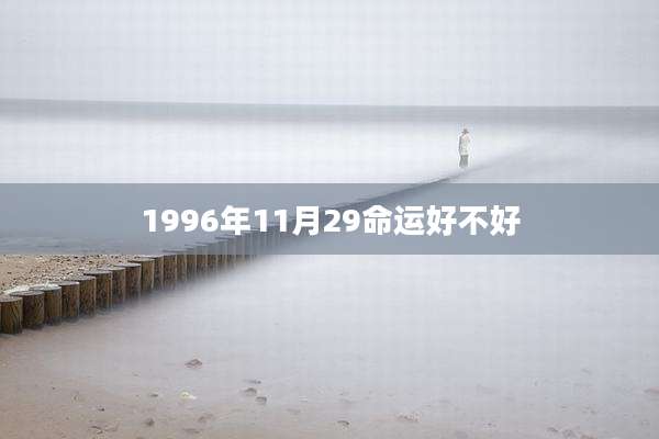 1996年11月29命运好不好