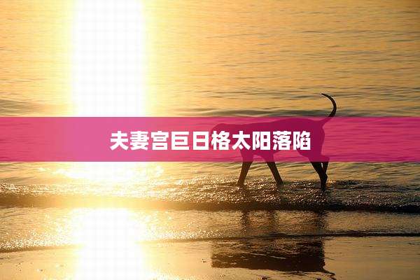 夫妻宫巨日格太阳落陷
