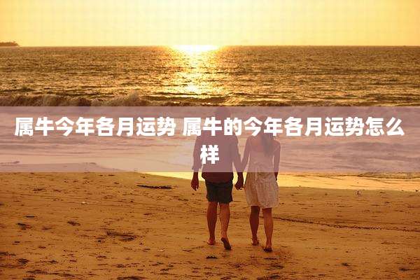 属牛今年各月运势 属牛的今年各月运势怎么样