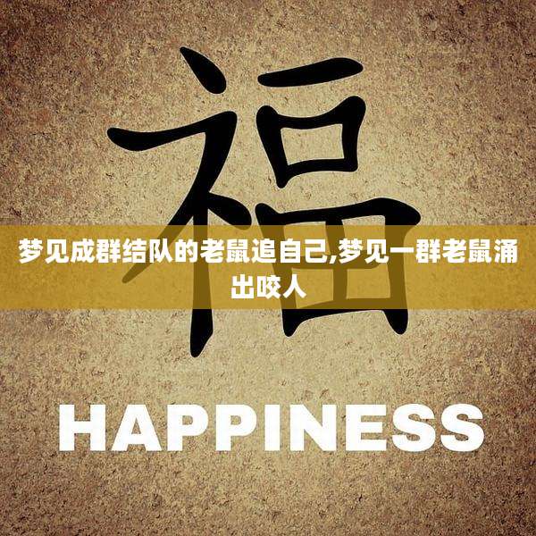 梦见成群结队的老鼠追自己,梦见一群老鼠涌出咬人