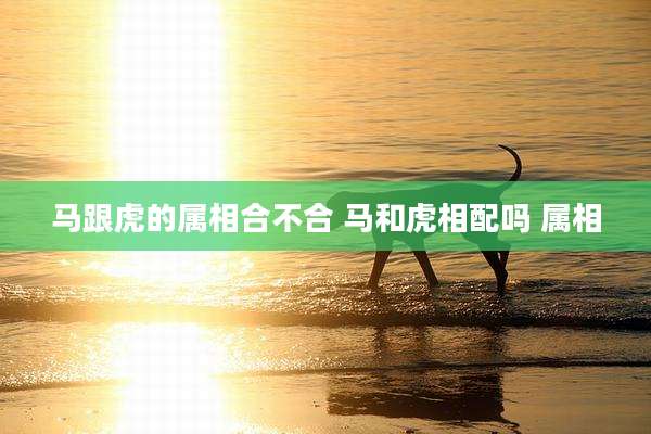 马跟虎的属相合不合 马和虎相配吗 属相