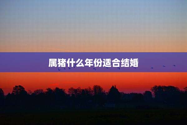 属猪什么年份适合结婚