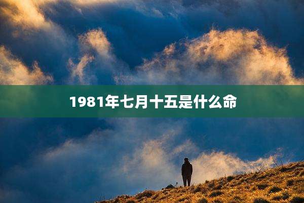 1981年七月十五是什么命