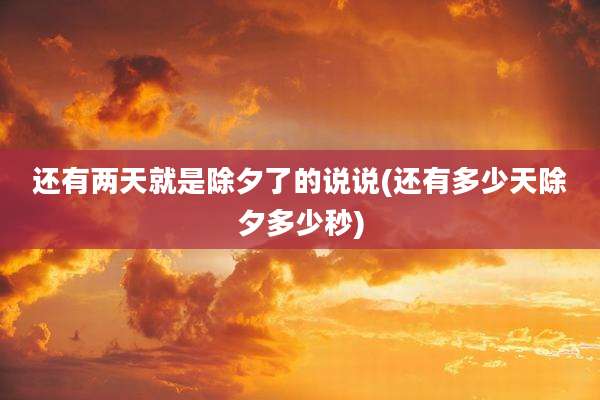 还有两天就是除夕了的说说(还有多少天除夕多少秒)