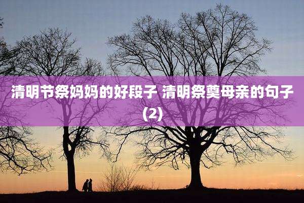 清明节祭妈妈的好段子 清明祭奠母亲的句子(2)
