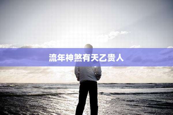 流年神煞有天乙贵人
