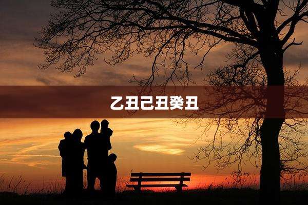 乙丑己丑癸丑