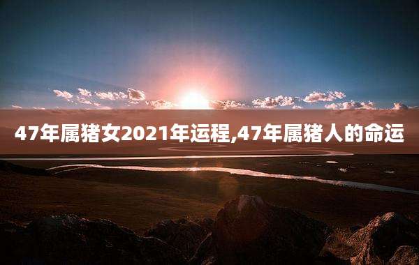 47年属猪女2021年运程,47年属猪人的命运