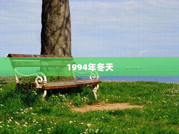1994年冬天
