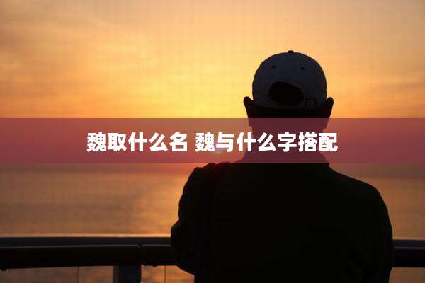 魏取什么名 魏与什么字搭配