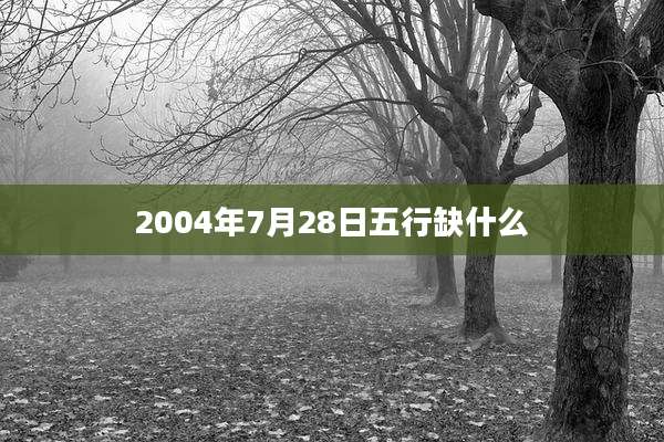 2004年7月28日五行缺什么
