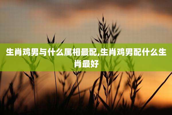 生肖鸡男与什么属相最配,生肖鸡男配什么生肖最好