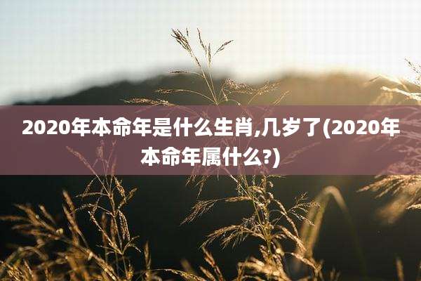 2020年本命年是什么生肖,几岁了(2020年本命年属什么?)
