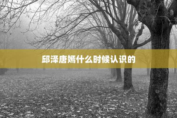 邱泽唐嫣什么时候认识的