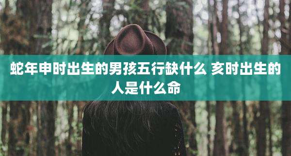 蛇年申时出生的男孩五行缺什么 亥时出生的人是什么命