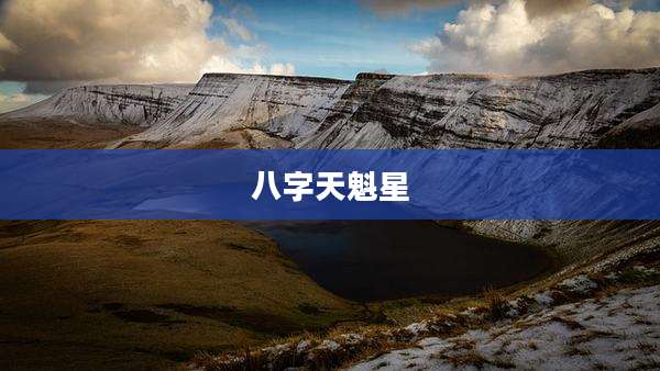 八字天魁星