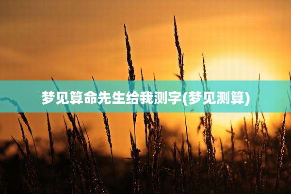 梦见算命先生给我测字(梦见测算)